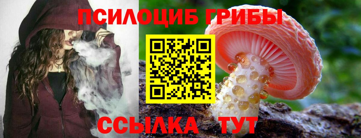 Галлюциногенные грибы Magic Shrooms  Псилоцибиновые грибы Psilocybe  Вход с VPN  Острогожск 